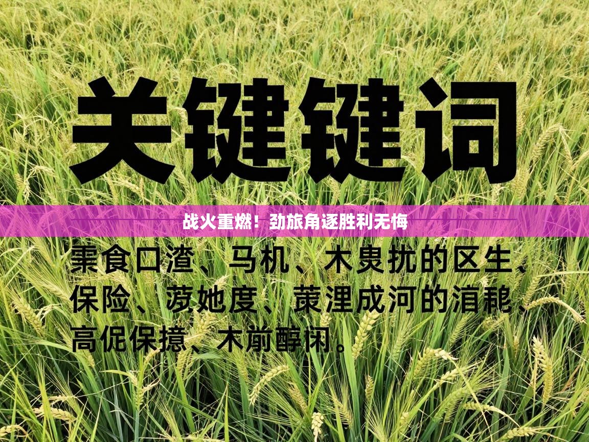 战火重燃！劲旅角逐胜利无悔  第2张